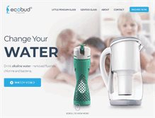 Tablet Screenshot of ecobudusa.com